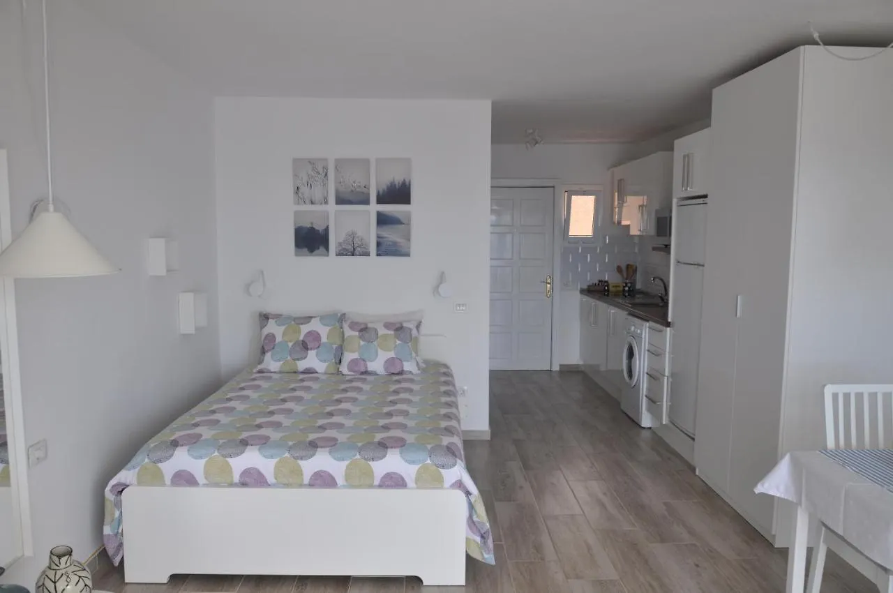 Bright Studio By The Sea Icod De Los Vinos Apartment